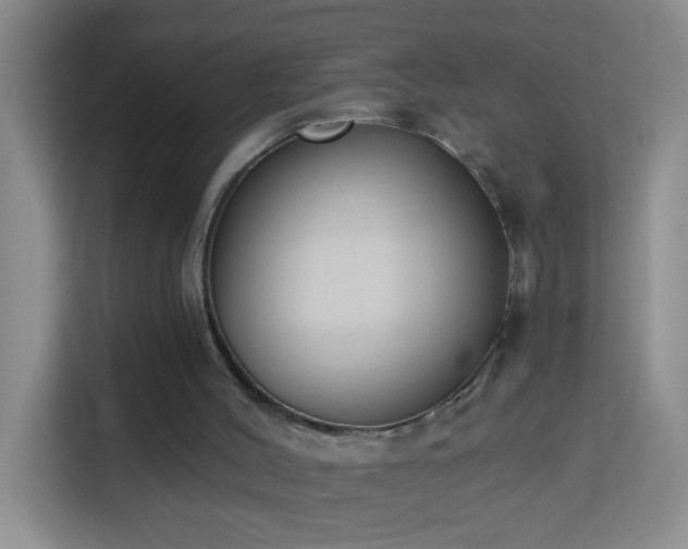 X0000114070004200910051347