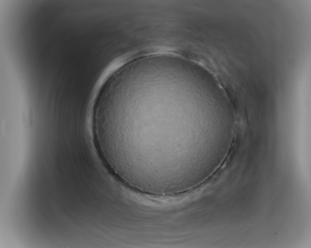 X0000114070006200910051347