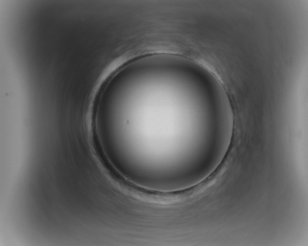 X0000114070008200910051347