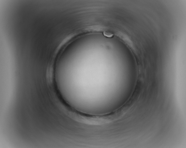 X0000114070012200910051347