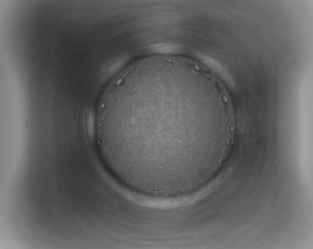 X0000114070014200910051347