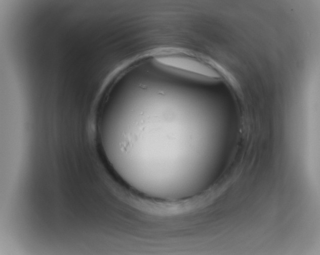 X0000114070015200910051347