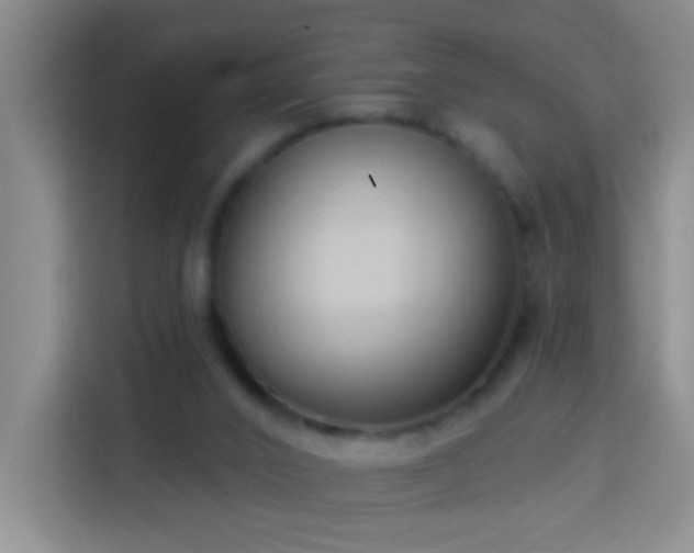 X0000114070016200910051347