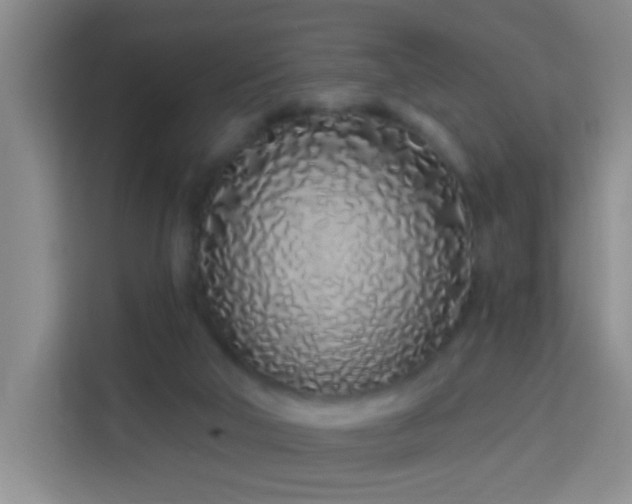 X0000114070018200910051347