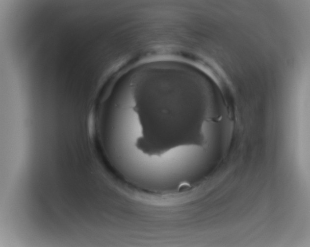 X0000114070019200910051347