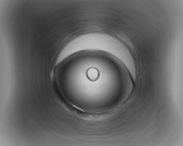 X0000114070021200910051347