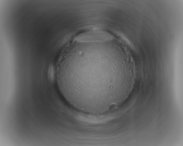 X0000114070022200910051347