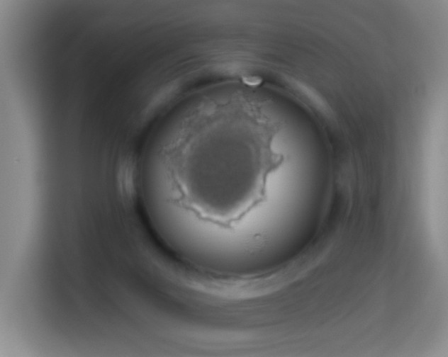 X0000114070023200910051347