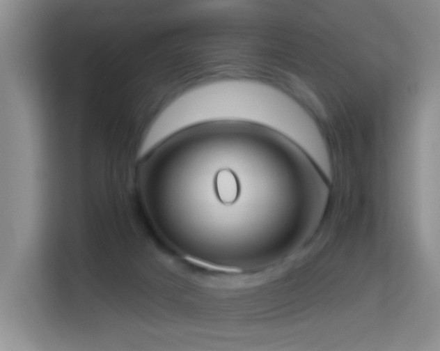 X0000114070025200910051347