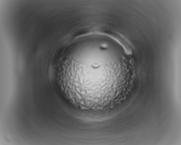 X0000114070026200910051347