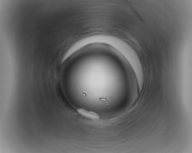 X0000114070029200910051347