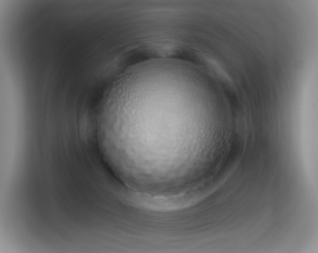 X0000114070030200910051347