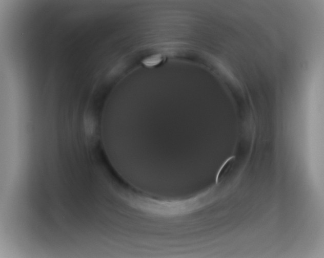 X0000114070031200910051347