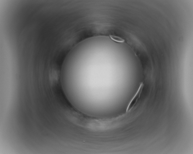 X0000114070033200910051347