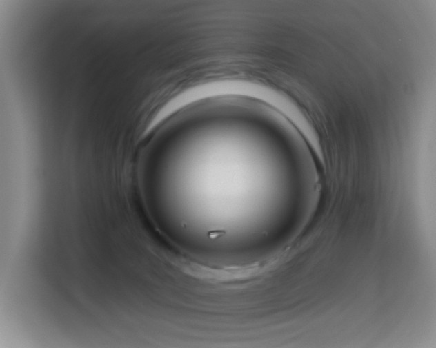 X0000114070035200910051347