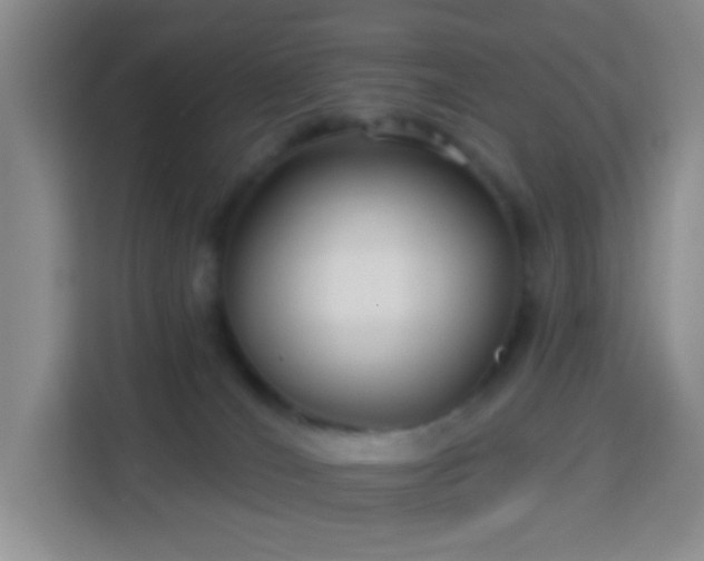 X0000114070036200910051347