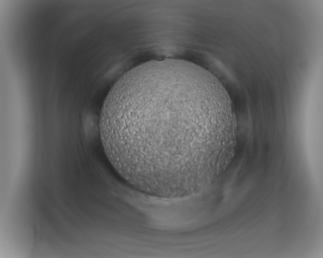 X0000114070043200910051347