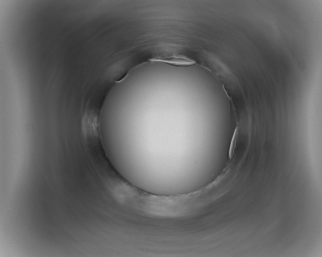 X0000114070045200910051347