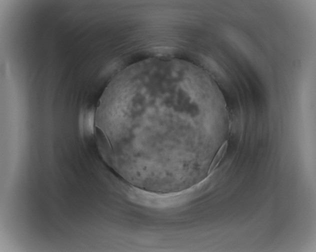 X0000114070047200910051347