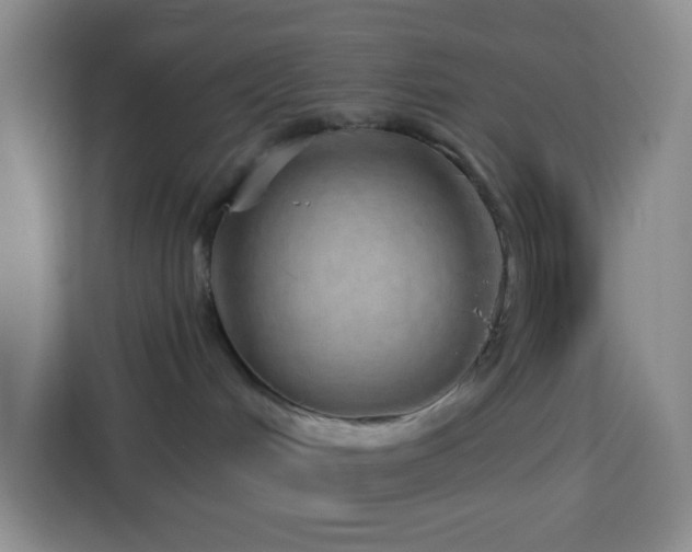 X0000114070048200910051347