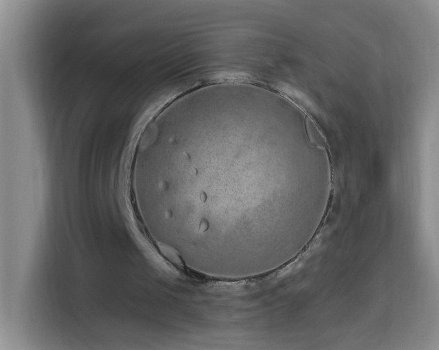 X0000114070049200910051346