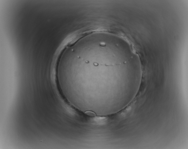 X0000114070055200910051346