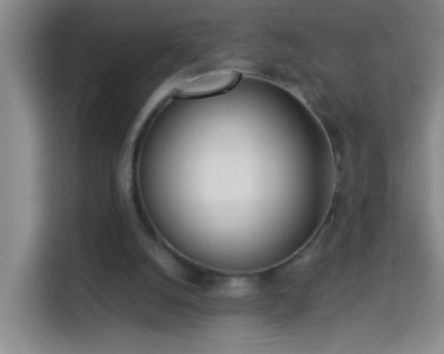 X0000114070056200910051346