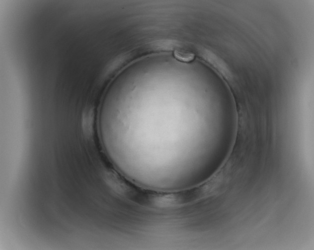 X0000114070058200910051346