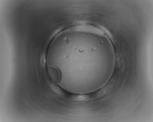 X0000114070059200910051346