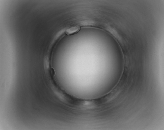 X0000114070060200910051346