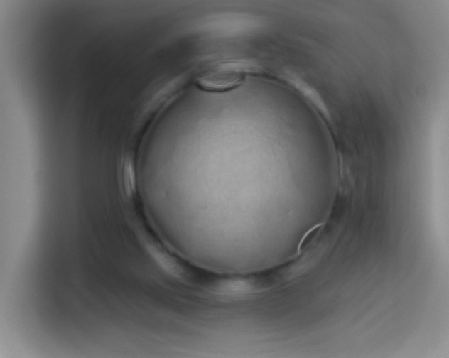 X0000114070061200910051346