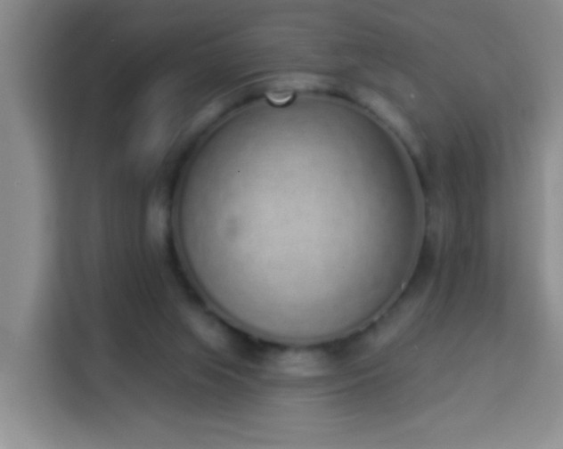 X0000114070063200910051346