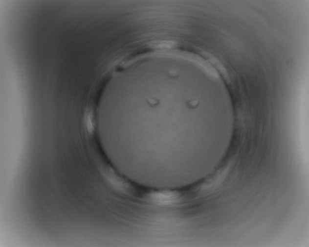 X0000114070069200910051346