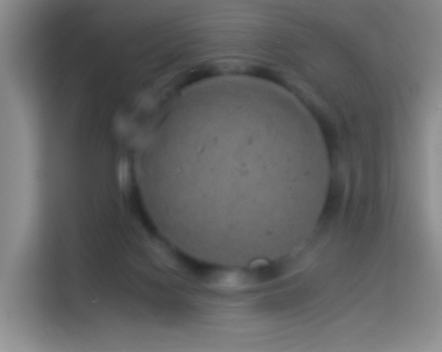 X0000114070074200910051346