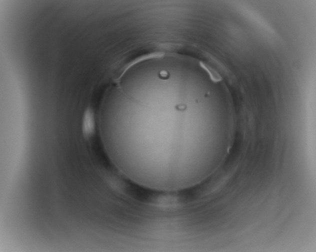 X0000114070075200910051346