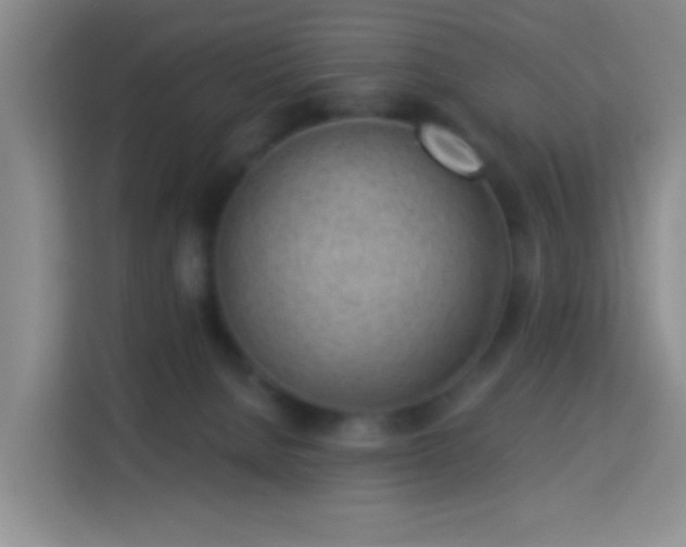 X0000114070080200910051347