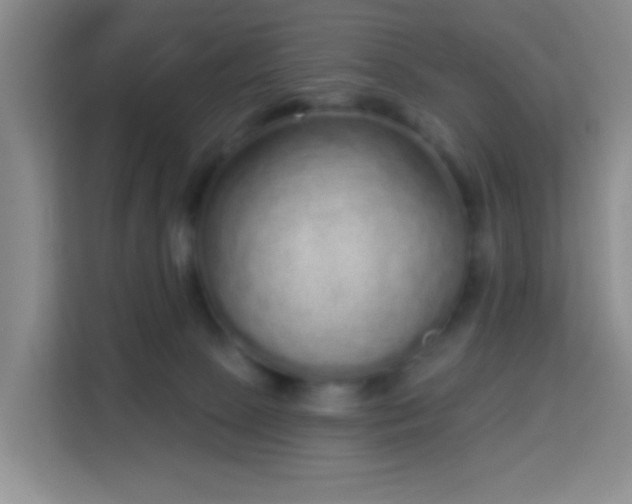 X0000114070081200910051347