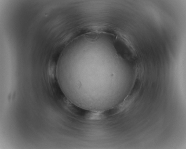 X0000114070093200910051347