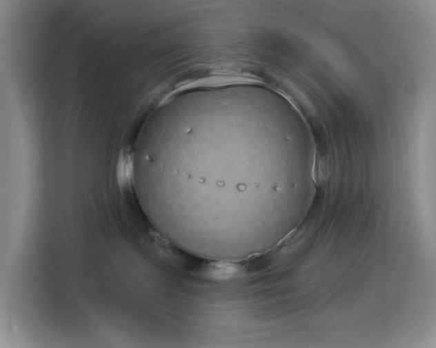 X0000114070095200910051347