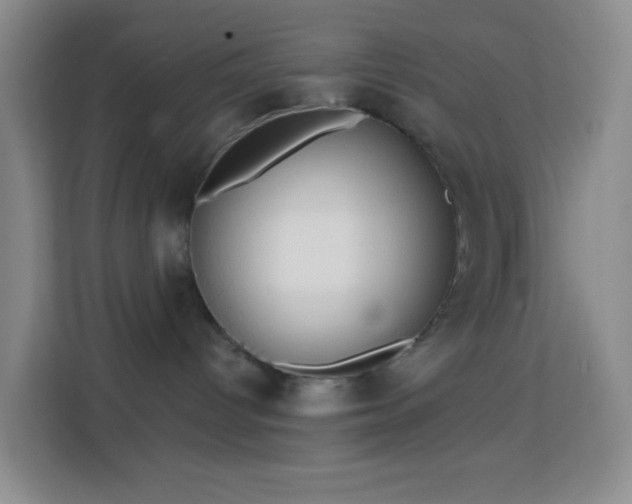 X0000114070096200910051347