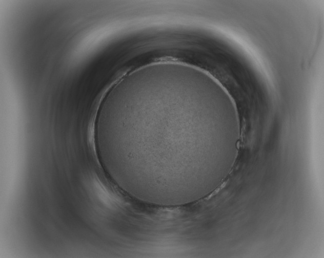 X0000114070099200910051346