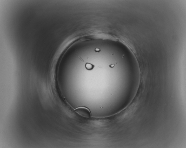 X0000114070103200910051346