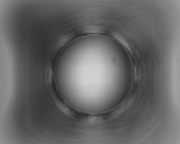 X0000114070109200910051346