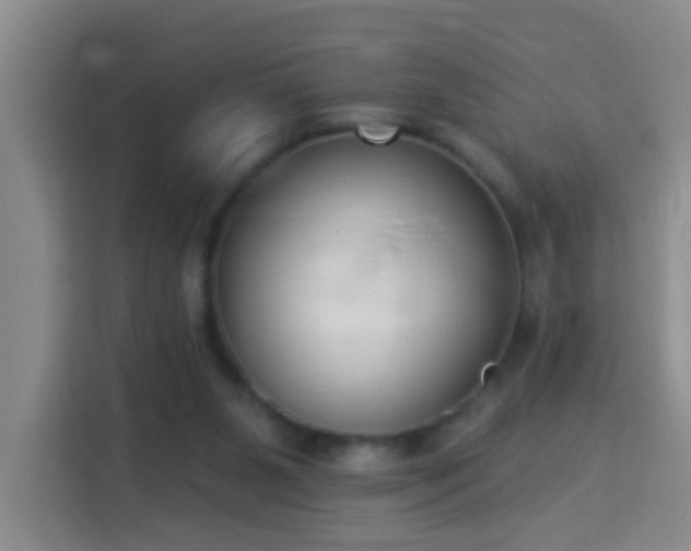 X0000114070111200910051346