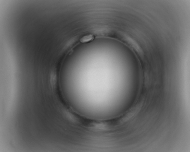 X0000114070113200910051346