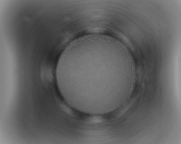 X0000114070114200910051346