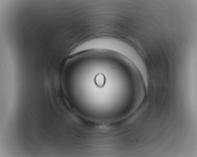 X0000114070121200910051346