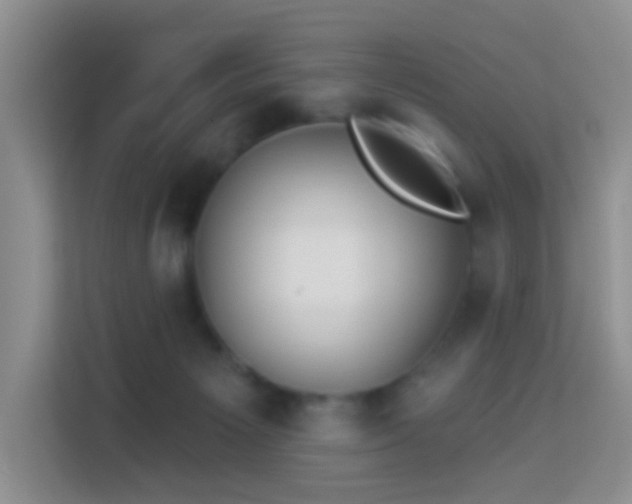 X0000114070125200910051346