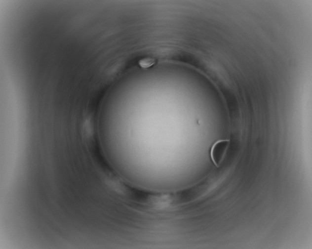 X0000114070131200910051346