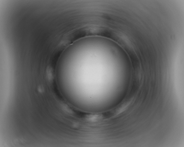 X0000114070135200910051346